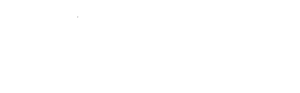 BIS Consultants